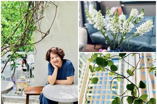 Bên trong căn nhà rực rỡ sắc hoa của MC Diễm Quỳnh