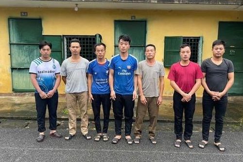 Phú Thọ: Khởi tố 7 đối tượng chặt phá rừng trái phép tại Vườn Quốc gia Xuân Sơn