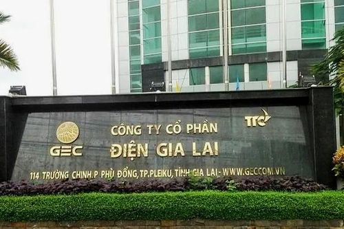 Điện Gia Lai (GEG) phát hành thành công 2.000 trái phiếu mới