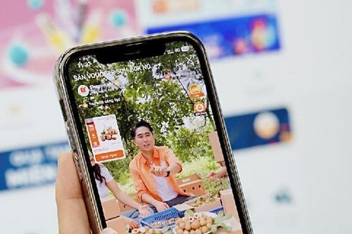 Livestream bán nông sản Việt, giúp nông dân tăng thu nhập