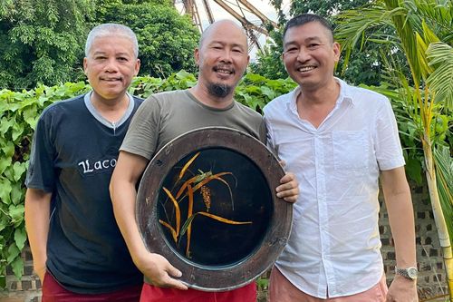 Những mặt khác của Đinh Công Đạt, Lê Thiết Cương, Nguyễn Việt Hà