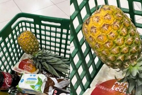 Trào lưu tìm bạn đời bằng quả dứa lật ngược gây sốt ở Tây Ban Nha