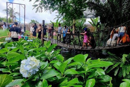 Du khách hào hứng check-in 'vườn địa đàng' vừa xuất hiện tại TP Hồ Chí Minh