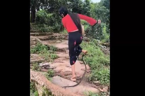 Clip: Đang đi bộ, người phụ nữ bị rắn đớp trúng chân
