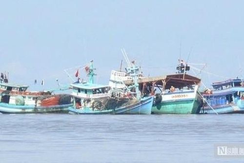 Cà Mau: 100% tàu cá vi phạm khai thác IUU sẽ bị xử lý