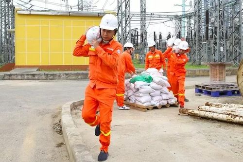 Đảm bảo an toàn hệ thống điện trước cơn bão số 3 (Yagi)