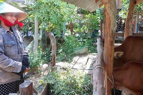 Phú Thiện trao 'cần câu' cho hộ nghèo