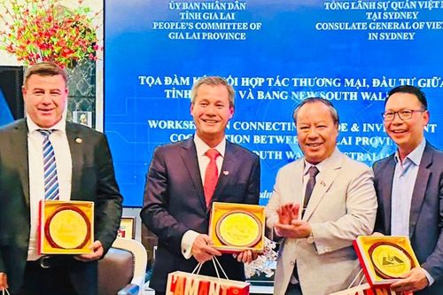Gia Lai thúc đẩy hợp tác thương mại, đầu tư với bang New South Wales