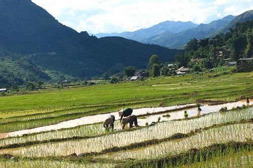 Nâng cao tiêu chí thu nhập