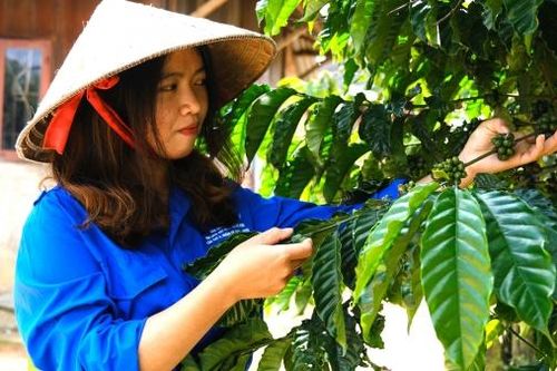 Cùng thanh niên nông thôn lập nghiệp