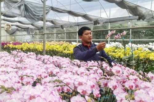 Lâm Đồng không ngừng nỗ lực nâng cao chất lượng giáo dục cho thanh niên