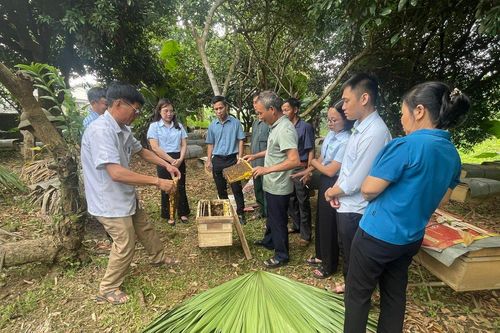 Hướng đi mới cho phát triển kinh tế