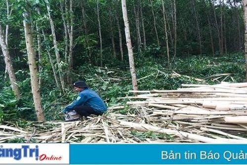 Tăng cường cung cấp thông tin, đẩy mạnh tuyên truyền đối với cộng đồng để bảo vệ rừng