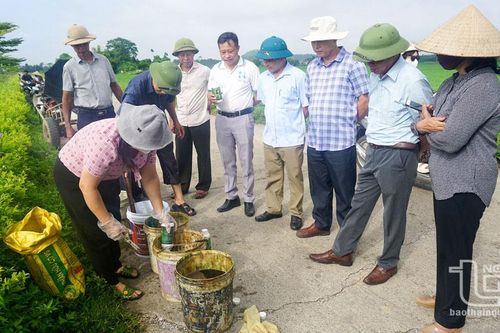Phân bón lá - Bạn của nhà nông