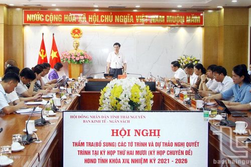 Thẩm tra bổ sung các tờ trình, dự thảo nghị quyết trình Kỳ họp chuyên đề HĐND tỉnh