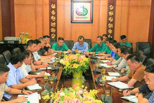 Thử nghiệm thành công vaccine ASF, Tập đoàn Dabaco (DBC) sẽ sản xuất thương mại trong quý 4