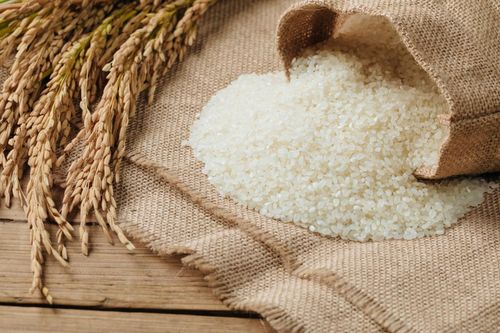 Nhật Bản đứng trước áp lực thiếu hụt gạo