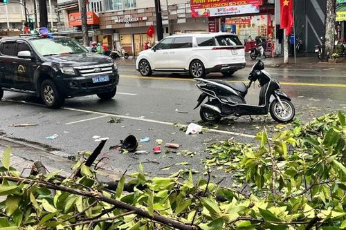 Người phụ nữ bị cành cây rơi trúng người trong mưa dông đã không qua khỏi