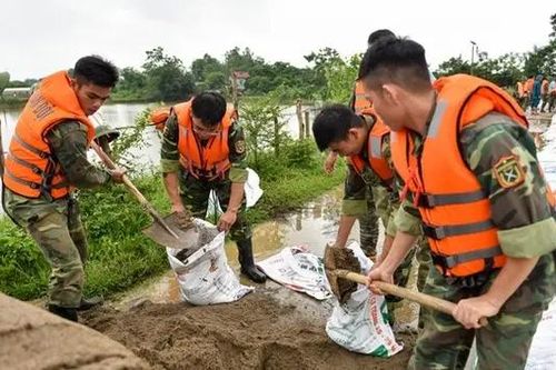 Những việc cần làm trước, trong và sau bão
