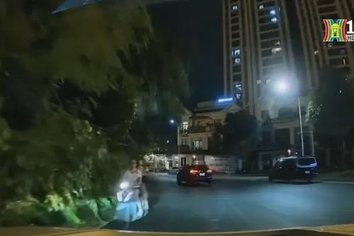 Suýt gây tai nạn vì đi ngược chiều