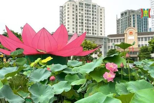 'Đầm sen' ở nút giao thông