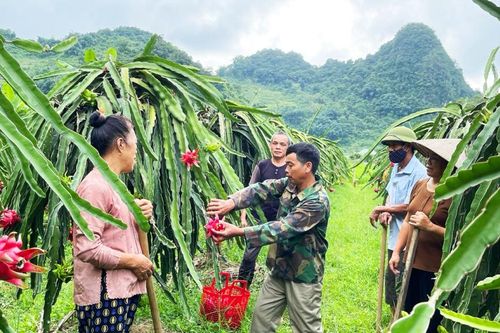 Nâng cao hiệu quả nhóm đồng sở thích