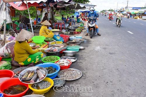 Chọn lựa và bảo quản thực phẩm đúng cách