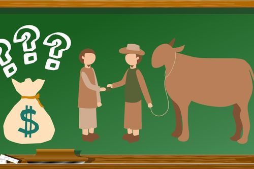 Bài toán mua bán bò khiến cộng đồng mạng tranh cãi