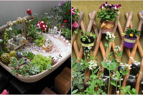 Ý tưởng làm vườn trong nhà nhỏ