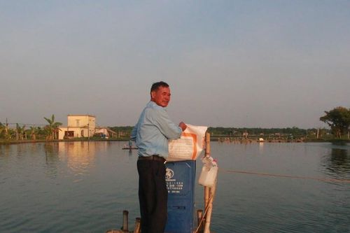 Nam Định: Hơn 94 000 ha lúa, hoa màu, ao đầm thủy sản 'đối mặt' bão Yagi