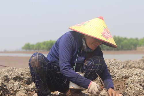 Người dân tranh thủ săn 'lộc trời' trước khi cấm biển