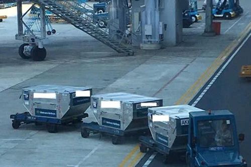 Xe chở hành lý tuột ốc, va chạm máy bay tại Nội Bài
