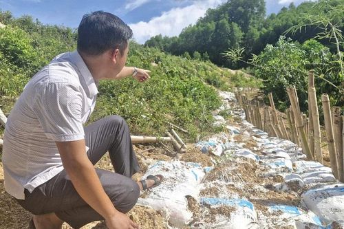 Hà Tĩnh: nguy cơ mất an toàn hồ đập trong mùa mưa bão
