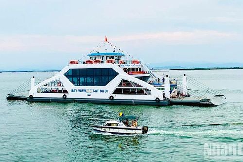 Từ 11 giờ ngày 6/9, Hải Phòng cấm biển phòng chống bão số 3