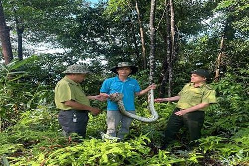 Bé Na' đi lạc vào khu dân cư