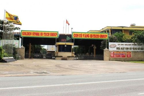 Không có giấy phép môi trường, Cty Con Cò Vàng bị phạt 320 triệu