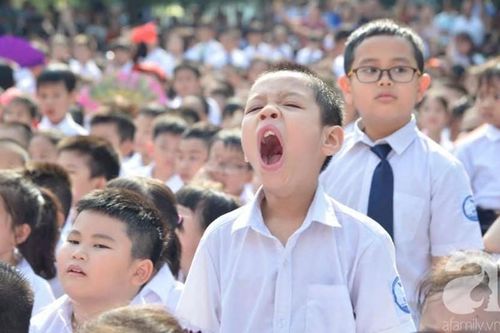 Khoảnh khắc ngộ nghĩnh của các 'búp măng non' ngày khai trường
