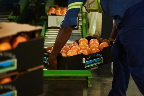 Nam Phi muốn chiến lược hóa quan hệ với Trung Quốc trên mặt trận kinh tế
