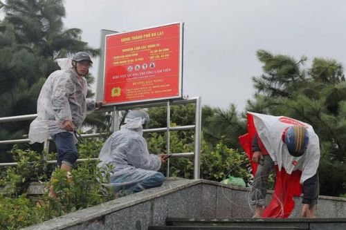 Đà Lạt ra quân xử lý buôn bán hàng rong, cho thuê chó cảnh chụp ảnh