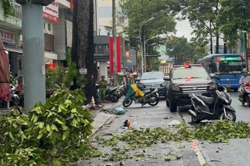 Một phụ nữ tử vong do nhánh cây rơi trúng đầu trong mưa lớn ở TPHCM