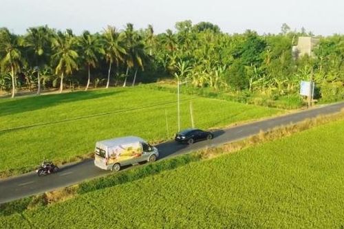 Cùng Phân bón Cà Mau 'Thức giấc với mùa vàng' tại Đồng bằng sông Cửu Long