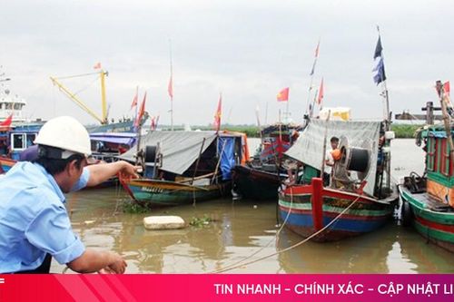 Cách neo đậu tàu thuyền tránh trú bão