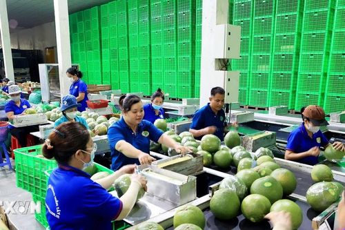 Mở cửa thị trường: Động lực đưa trái cây Việt tăng trưởng xuất khẩu