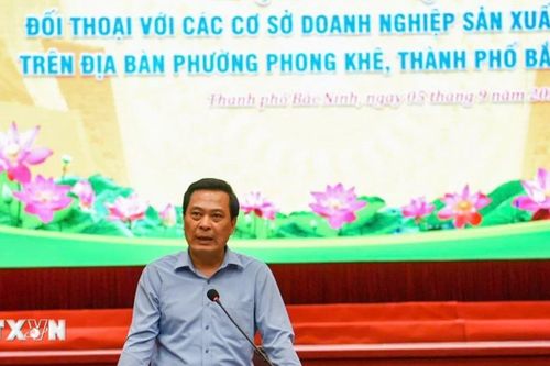 Bắc Ninh: Kiên quyết đóng cửa các cơ sở vi phạm môi trường tại Phong Khê