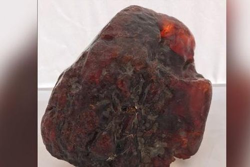 Tưởng cục đá, cụ bà dùng khối hổ phách trị giá 27 tỷ đồng làm chặn cửa