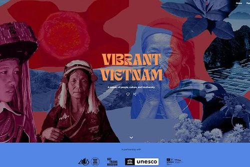 Google Arts & Culture tôn vinh giá trị Việt