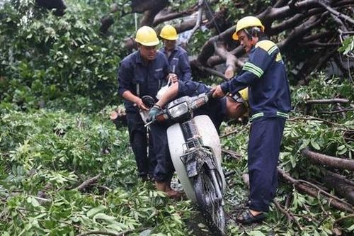 TP.HCM sau cơn mưa lớn: Cây đổ la liệt, ô tô và xe máy bị đè bẹp