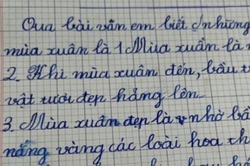 Làm văn tả mùa xuân, cô bé tiểu học viết kết bài khiến dân tình phì cười