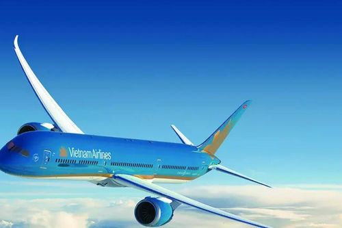 Vietnam Airlines, Becamex TDC, Ô tô TMT… bị nghi ngờ khả năng hoạt động liên tục