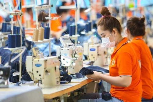 Hệ thống Thương vụ nêu giải pháp để phát triển Trung tâm nguyên phụ liệu ngành thời trang